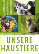 Haustiere